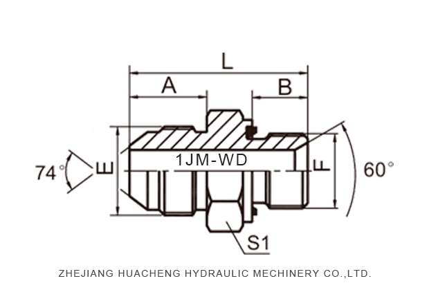 1jm_jic_male_74°_cone_2